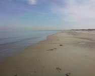 Beach1.JPG
