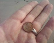 First Find of Year.JPG