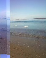 icebergs.JPG