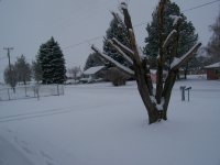 winters back.jpg