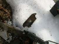 2011 FIRST HUNT OF THE YEAR 003 [].jpg