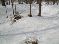 2011 FIRST HUNT OF THE YEAR 005 [].jpg