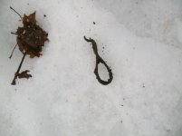 2011 FIRST HUNT OF THE YEAR 007 [].jpg