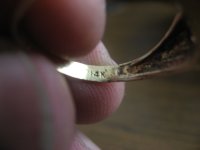 1st hunt 2011 008.JPG