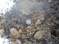 2ND HUNT OF 2011 BOY SCOUT BUTTON 001 [].jpg