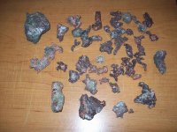 smallcopper2.jpg