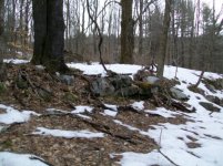 MARCH 12TH HUNT WITH SNIFFY 001 [].jpg