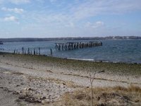 DSC01117.JPG