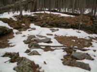 MARCH 15TH HUNT WITH FRANK KGII 001 [].jpg
