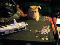 20110318_3.JPG