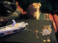 20110318_4.JPG