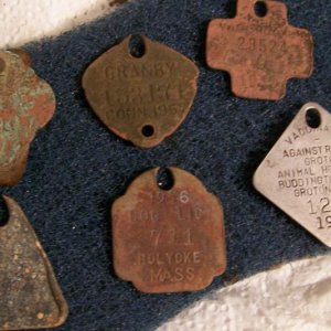 dog tax or rabies vac. tags