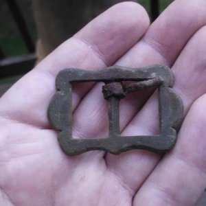 Batwing Buckle