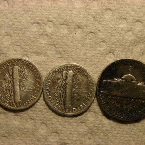10 2 14 silver back