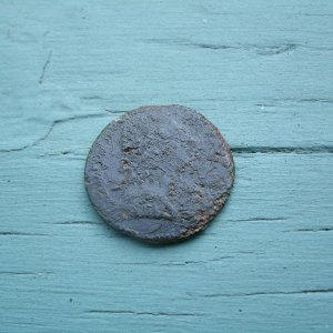 hunt with Dan KG Musketball Dandy 001