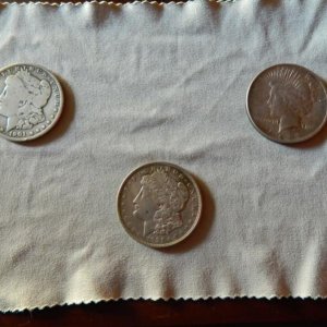 2014 Silver Dollar finds