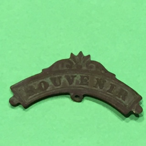 "Souvenir" pin