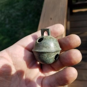 Large Crotal