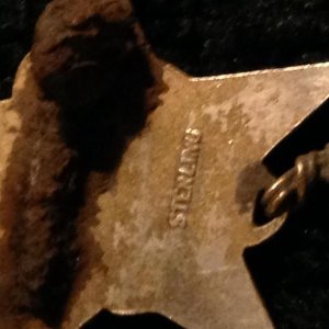 Media 'BS PIN BACK' in album '2016'