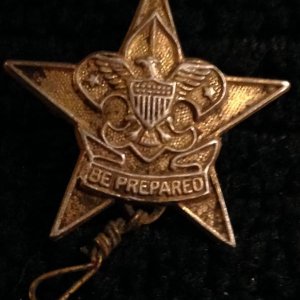 BS PIN