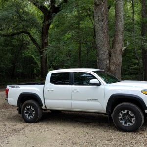 TRD 005