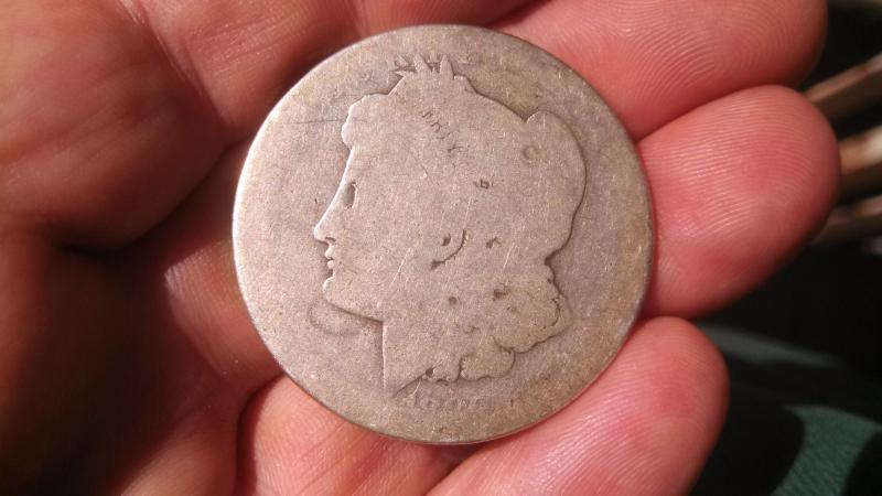 1885or87 Morgan Dollar