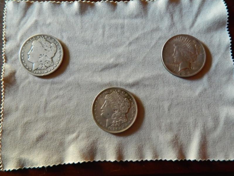 2014 Silver Dollar finds