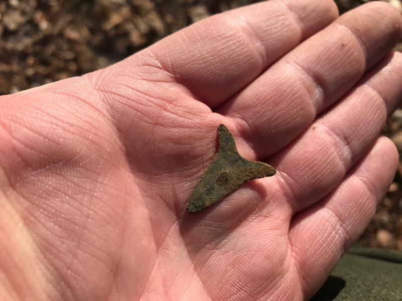 357E86AC E1EC 4C0B 9DF4 4D0C11D43D55