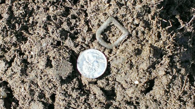 Brass Buckle