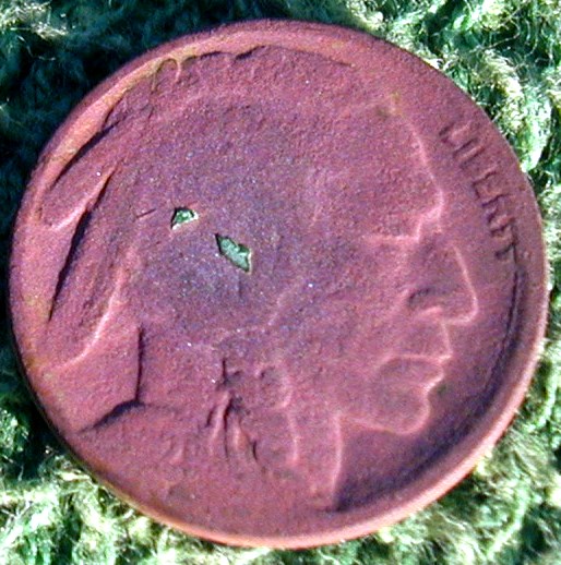Buffalo 02