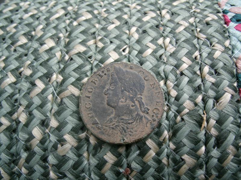 CT Copper   KGIII   dandy 001