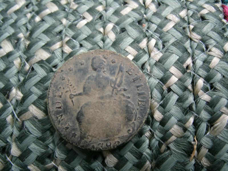CT Copper   KGIII   dandy 002