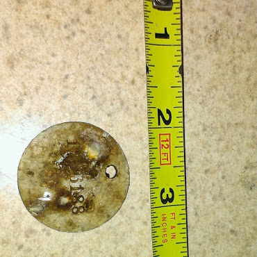 Serial# 1--6188
Richard Love of Camp Upton 1918