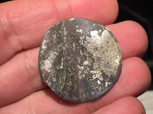 Silver wash dandy button/Charlotte, VT